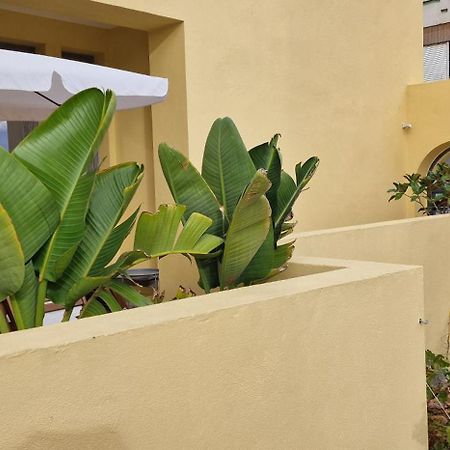 Casa Da Acoteia Apartment Faro Luaran gambar