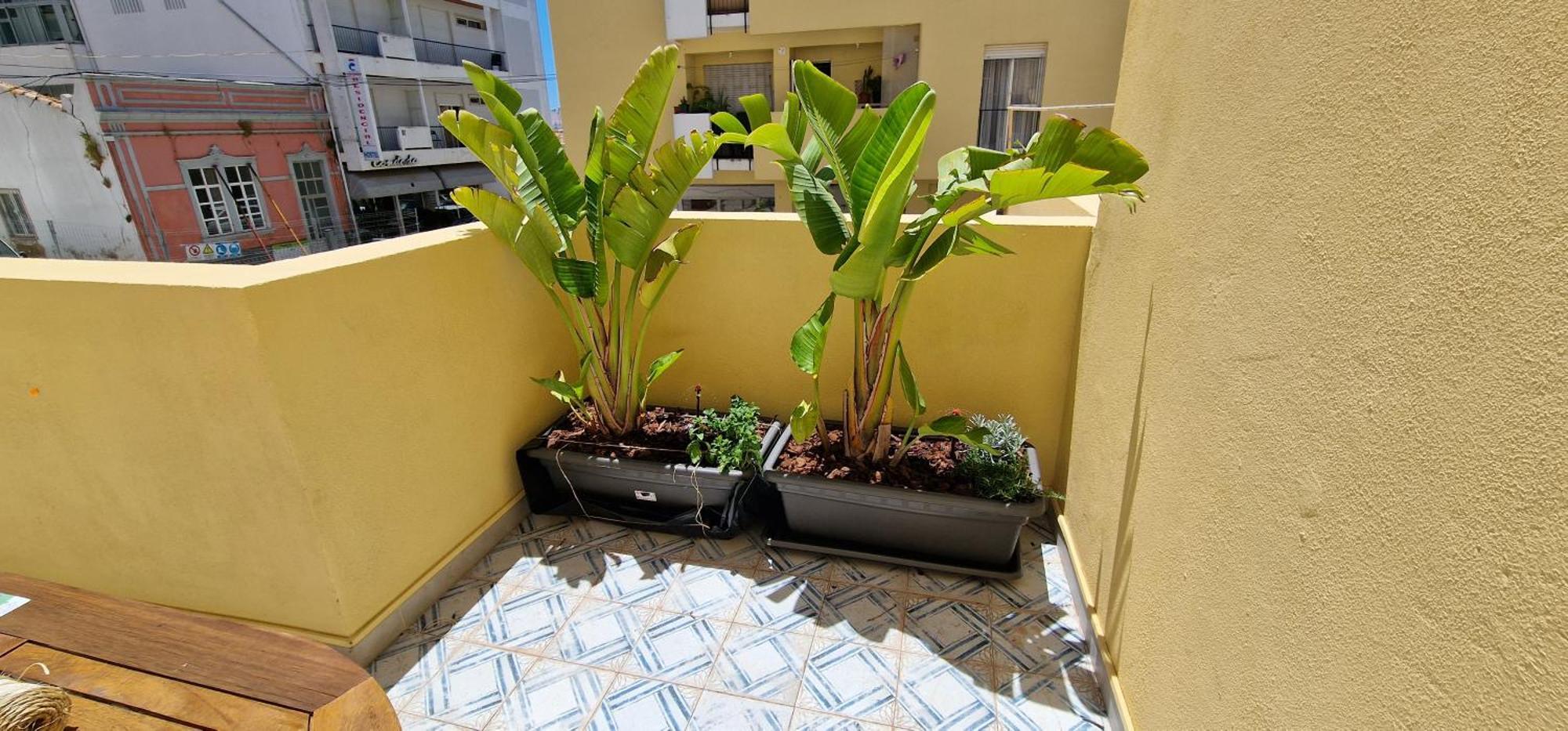 Casa Da Acoteia Apartment Faro Luaran gambar